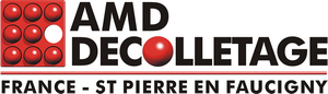 logo_AMD2